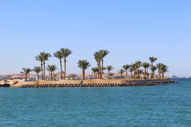 Palm treesion deniz ile tropik ada manzarası. Red Sea'deki/daki Cennet Adası. Tropikal resort. Tatil kavramı. Plaj palmiye ağaçları ve deniz ile deniz panorama