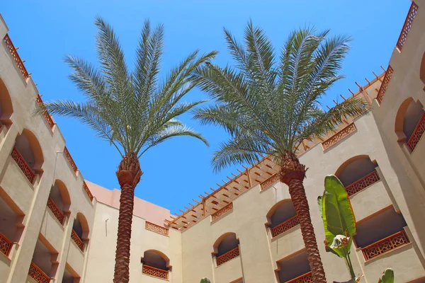 View of building of resort with palm trees. Egyptian resort. Tropical holidays. Hotel building with balconies. Modern arabic architecture. Two date palms growing near building