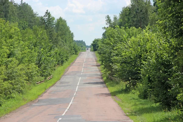 草に覆われた高速道路 両側の密な植生と道路 空のハイウェイ アスファルトの道路と緑道端自然な夏の風景 空高速道路アスファルト道路 — ストック写真