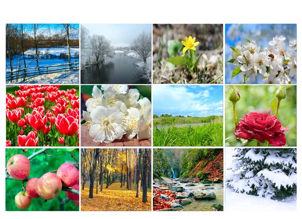 カレンダーのための自然の異なる12色の画像を持つブランク カレンダーの準備写真 毎年恒例のカレンダーの写真 事務所のための場所 — ストック写真