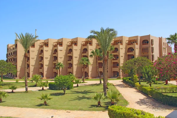 Hurghada Egitto Luglio 2018 Prato Erboso Tra Palme Del Resort — Foto Stock