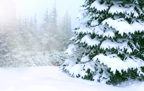 Vackert Landskap Med Vintern Skog Det Snöar Skogen Granar Som — Stockfoto