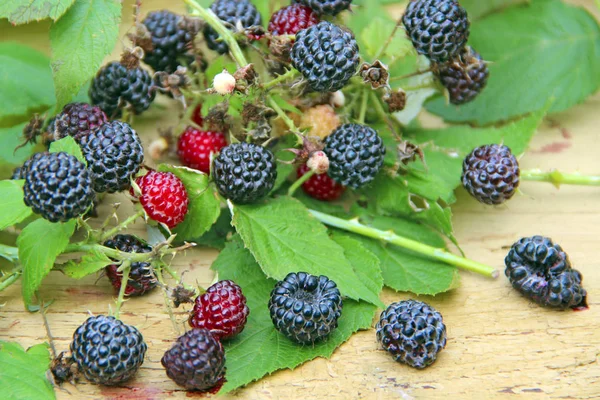 黑色的覆盆子 浆果和树叶躺在木制表面 用成熟的覆盆子包起来 带有浆果和叶子的黑色树莓 — 图库照片