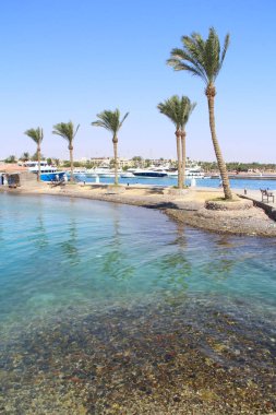 Palmiye ağaçları ve deniz ile tropik ada manzarası. Red Sea'deki/daki Cennet Adası. Red Sea'deki/daki Cennet Adası. Tropikal resort. Tatil kavramı. Plaj palmiye ağaçları ve deniz ile deniz panorama