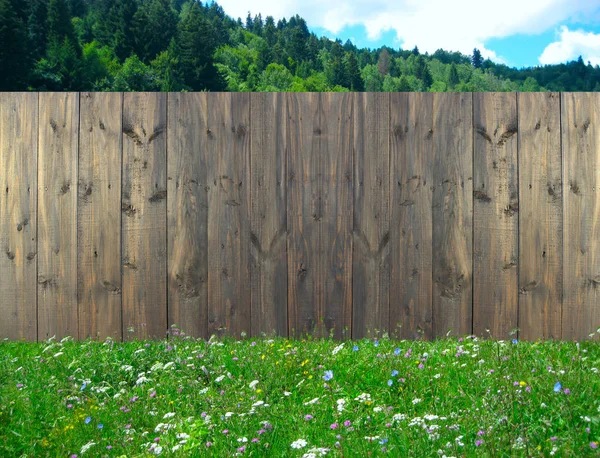 Деревянный Забор Стоящий Летней Лужайке Цветами Забор Темных Досок Траве — стоковое фото