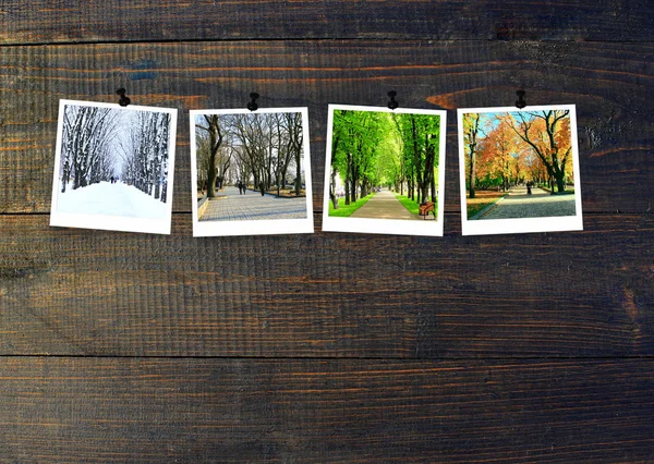 木製の背景に四季 暗い木製の壁に取り付けられた4つの季節の写真 同じ公園の4枚の写真が異なる時期に撮影されました 冬の時代 — ストック写真