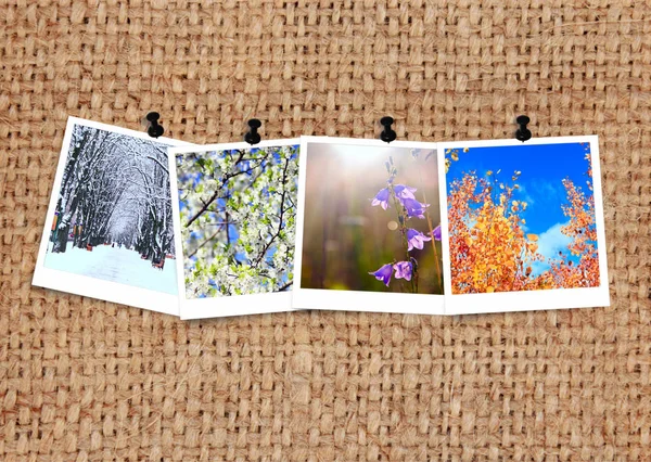 Photos Four Seasons Attached Sacking Photograph Seasons Fabric Background Four — Stock Photo, Image