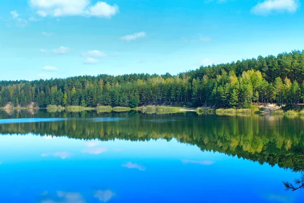 Piękne Leśne Jezioro Szmaragdową Wodą Lesie Sosnowym Wspaniały Naturalny Widok — Zdjęcie stockowe