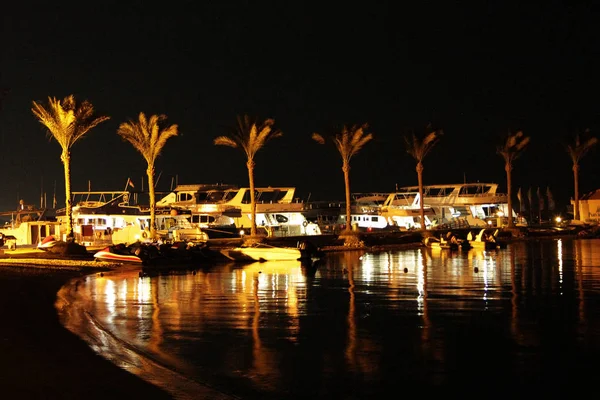 Hurghada Egipt Lipca 2018 Podświetlane Palmy Jachty Odzwierciedlenie Powierzchni Morza — Zdjęcie stockowe