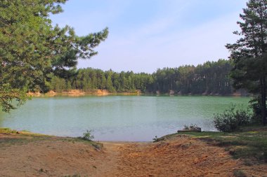 Çam ormanı içinde zümrüt su ile güzel orman Gölü. Harika doğal görünümü. Su panorama. Vahşi doğa. Ormandaki güzel göl