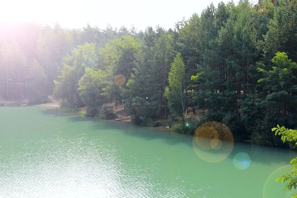 Schöner Waldsee Mit Smaragdgrünem Wasser Kiefernwald Wunderbare Natürliche Aussicht Wasserpanorama — Stockfoto