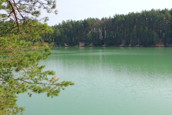 Hermoso Lago Bosque Con Agua Esmeralda Bosque Pinos Magnífica Vista —  Fotos de Stock