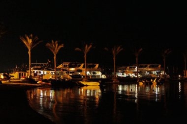 Gece sahil üzerinde ve ışıklı palmiye ağaçlarının manzaralı panorama. Tropikal resort. Güzel gece deniz Panoraması ışıkları ile desteklemek. Gece plaj manzarası