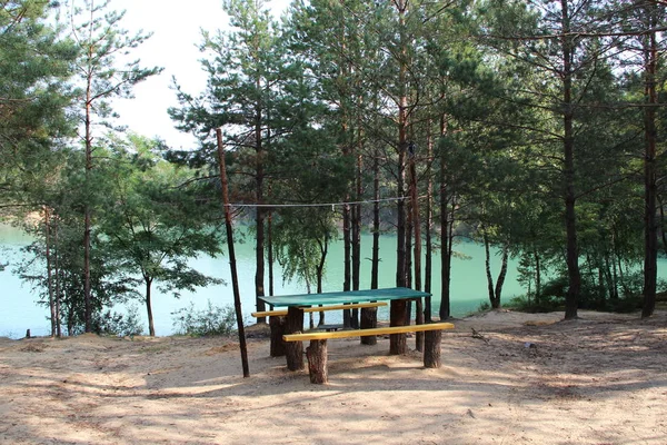 Table with benches for rest on shore of forest lake. Rest in forest by lake with turquoise water. Relaxing concept. Benches in pine wood near beautiful lake. Vacation in coniferous forest