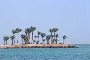 Palmiye ağaçları ve deniz ile tropik ada. Red sea Paradise Island