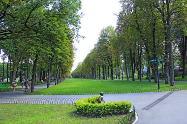 İnsanlar büyük ağaçlarla parkta dinleniyor. Aile Rahatlaması