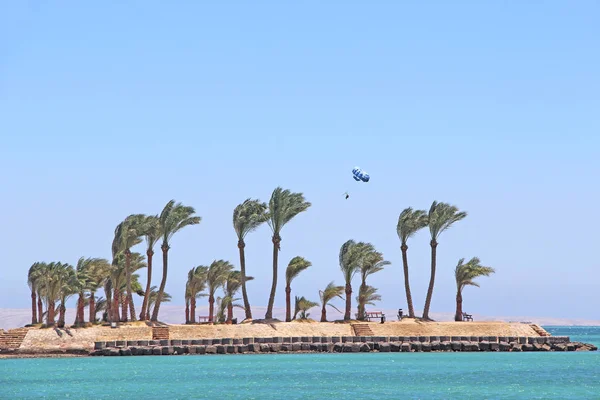 Tropical island with palm trees and sea. Paradise island in Red sea