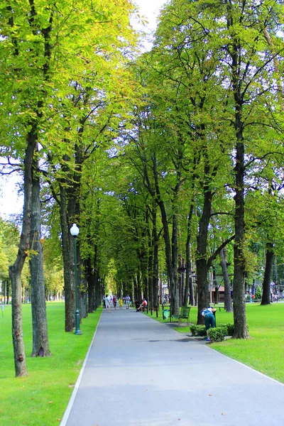 As pessoas têm um descanso no parque com árvores grandes. Família Relaxante — Fotografia de Stock