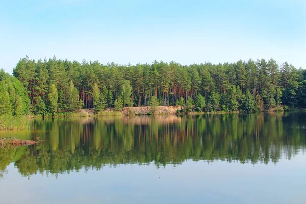 Jezioro z odbiciem lasu w wodzie. Piękna panorama wody — Zdjęcie stockowe