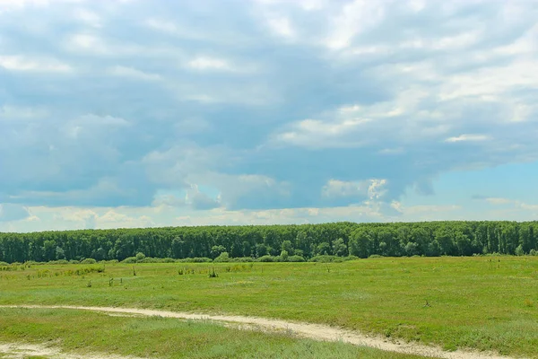 País camino arenoso con campo y césped verde en los bordes de las carreteras —  Fotos de Stock