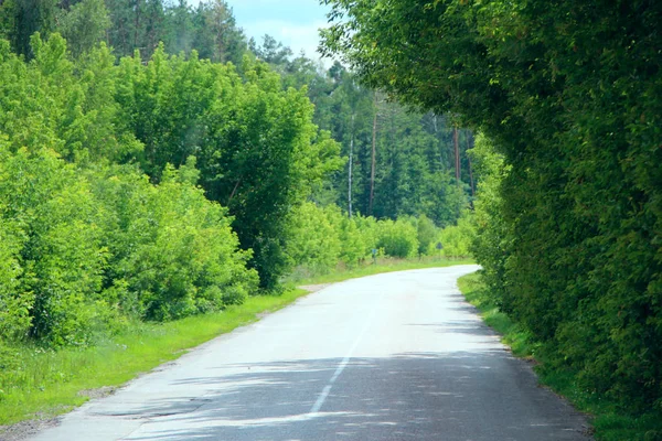 Асфальтовая дорога и зеленые обочины с бордюрами. Пустое шоссе — стоковое фото
