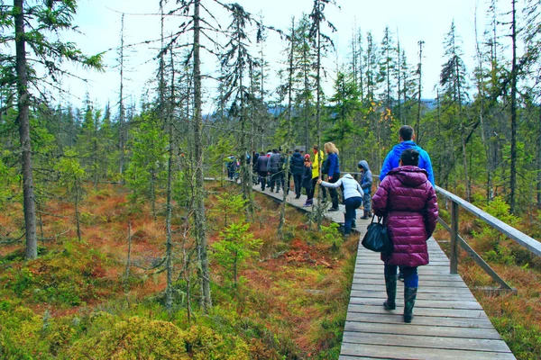 Dağlarda yürüyüşte olan bir grup turist. Seyahat konsepti