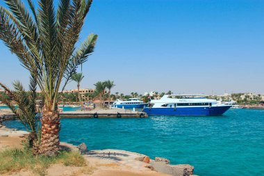 Demirli yatlar, gemiler ve güzel palmiye ağaçları ile Hurghada dolgu görünümü.