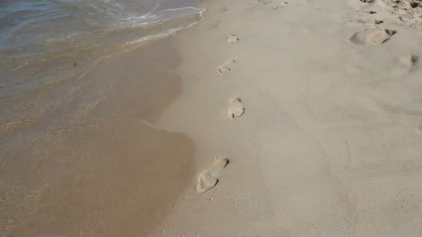 Spår Havs Sand Turist Vandring Längs Stranden Sand Och Vågor — Stockvideo