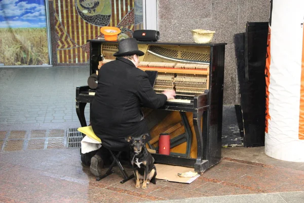 Homeless man playing piano on street surrounded by stray dogs — Stock Photo, Image
