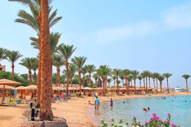Palmiye ağaçları, kum ve kumlu plajlı tropik tatil köyü manzarası
