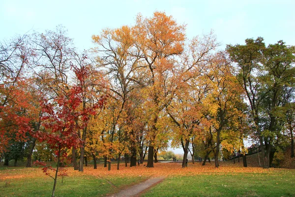 Autumnal park with promenade path and big trees — Stock Photo, Image