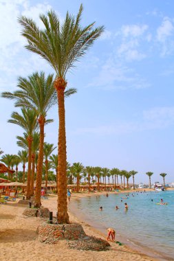 Tropik tatil köyü. Sahilde palmiye ağaçları ve denizle rahatlayan insanların olduğu bir manzara.
