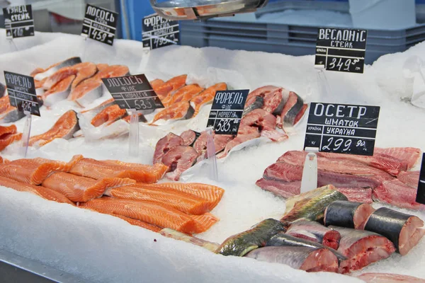 Fresh frozen fish in ice is sold in store. Pieces of salmon paddlefish. Fillet of trout, sturgeon, salmon frozen in the refrigerator. Salmon and sturgeon with ice cubes in the store. Natural meat