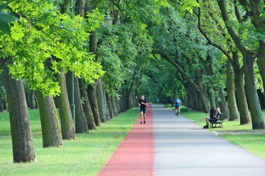 Şehir parkında koşu bandında koşan adam. Koşu bankları ve koşu bantları olan güzel bir şehir parkı. Şehir parkında koşan genç adam. Şehir doğası. Sağlıklı yaşam tarzı