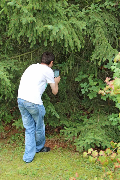 Хлопець Фотографує Білку Траві Людина Робить Фотографію Білки Ховається Між — стокове фото