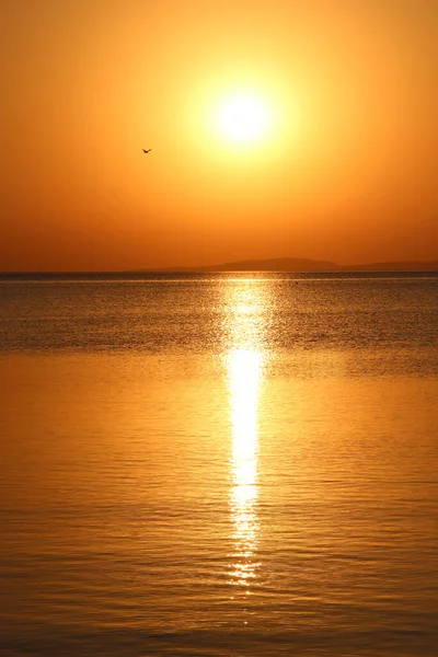 Закат Над Морем Прекрасный Летний Закат Над Океаном Сияющий Закатный — стоковое фото
