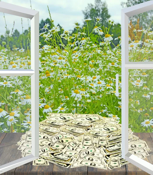 Ein Haufen Dollars Liegt Offenen Fenster Mit Blick Auf Das — Stockfoto