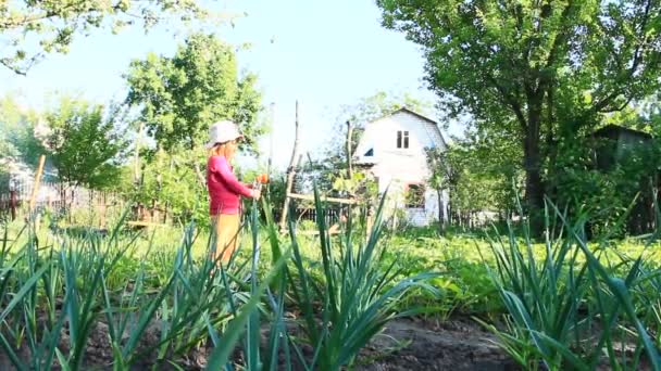 Meisje Dat Zomertuin Bed Besproeit Irrigatie Boomgaard Kinderbedden Tuin Hete — Stockvideo