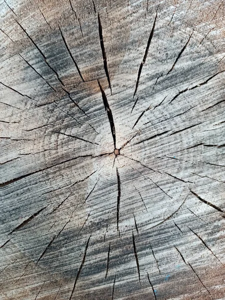 Patrón Madera Oscura Corte Del Árbol Con Grietas Textura Vintage — Foto de Stock