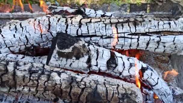 火中的木柴 燃烧着的灰烬燃烧着 在炉中烧着生火的木柴 火和火焰 在火盆里燃烧着灿烂的火焰 — 图库视频影像