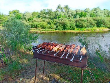 Shashlik nehir kenarında barbekü yapıyor. Coronavirus 'tan uzakta, güzel nehrin yakınında, açık havada iştah açıcı. Domuz etini ateşte pişirme süreci. Shashlik mangalda mangalda mangal yaptı.