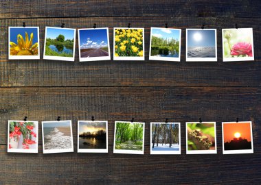 Siyah ahşap arka planda iki sıra halinde farklı fotoğraflar. Yaşamın fotoğrafları işte. Doğanın fotoğraflarına. Hobi olarak fotoğrafçılık. Fotoğraf izole edildi