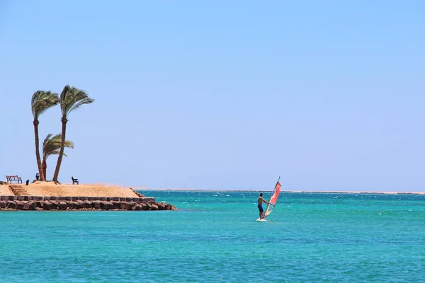 Lonely man on windsurfing board driving on Red sea during quarantine of coronavirus. Summer holidays. Water sport in summer vacations. Landscape with beautiful sea and lonely windsurfer