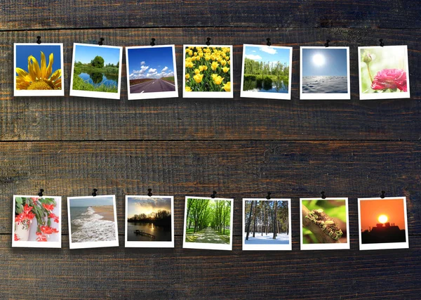 Różne Zdjęcia Dwóch Rzędach Czarnym Drewnianym Tle Fotografie Życia Fotografie — Zdjęcie stockowe