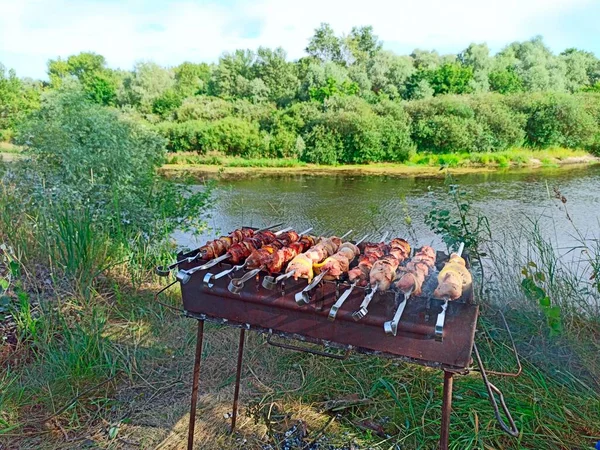 川の近くのバーベキューでShashlik 食欲をそそる Shashasha写々者 日本とアジアの写真を世界へ 火に豚肉の肉を調理するプロセス シャシュリックは炭火でバーベキューグリルで調理 ロイヤリティフリーのストック画像