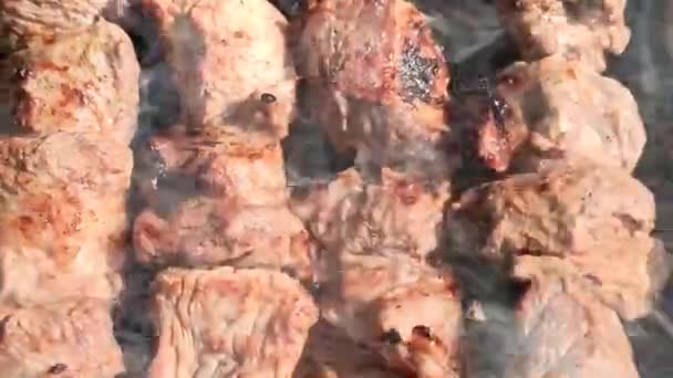 Apetyczny Szaszłyk Zewnątrz Gotowanie Mięsa Wieprzowego Lunch Grillowy Świeżym Powietrzu — Wideo stockowe