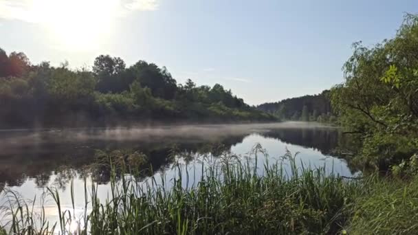 川の上に朝の日の出 夜明けに川の上に霧 素晴らしい夏の風景 その川は夜明けに霧で覆われている 森林は夏に川に反映されます — ストック動画