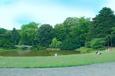 İnsanlar hafta sonunu göl kenarında doğada geçirirler. Karantina sırasında insanlar ördeklerin olduğu bir göletin yanında dinleniyor. Covid-19 doğada tecrit. Güzel bir gölün kıyısında yaz tatili