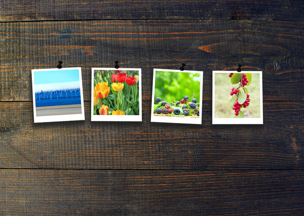 Признаки сезона. Фотографии четырех сезонов, прикрепленные к черной деревянной поверхности. Четыре сезона на тёмном фоне. Фотографии четырех сезонов на темной деревянной стене. Четыре фотографии, сделанные в разное время года.