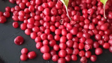 Siyah arka planda yatan şizandra çilekleri. Şizandra olgun ve kırmızı. Meyve vitaminleri
